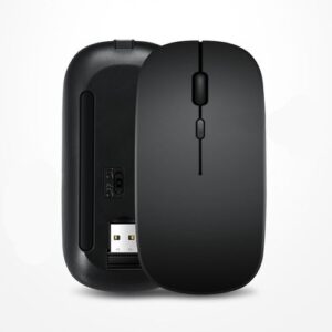 Rechargeable mouse